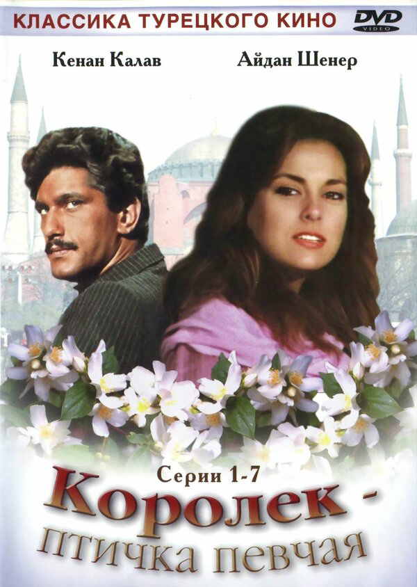 Королёк – птичка певчая сериал 1986 смотреть онлайн бесплатно в хорошем качестве HD